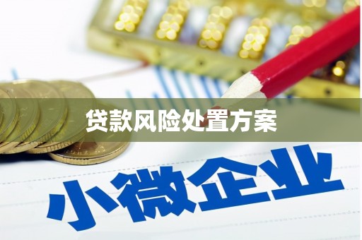德清贷款风险处置方案