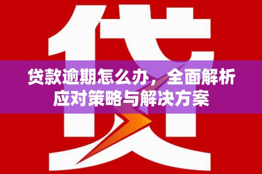 德清贷款逾期怎么办，全面解析应对策略与解决方案
